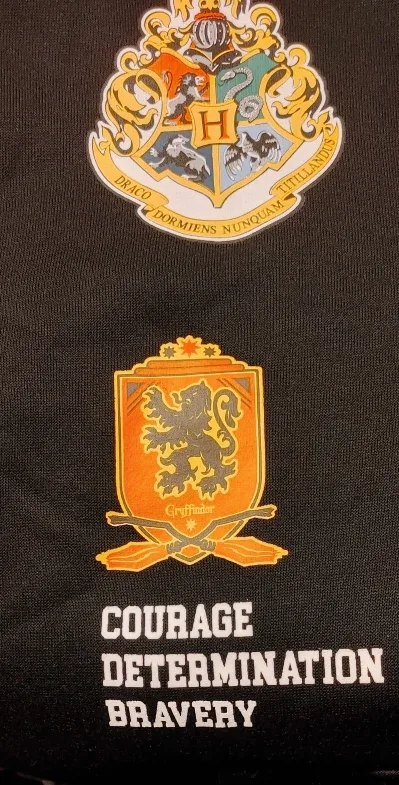 Harry Potter Hoodie #Cleanout image indicator(7)