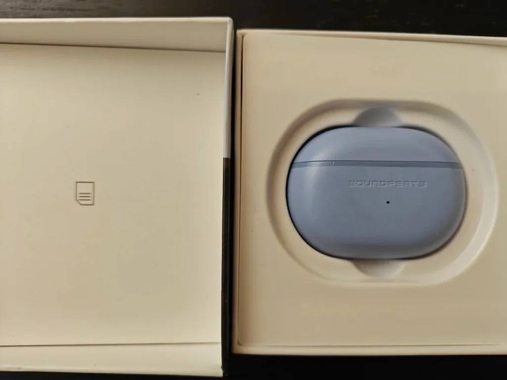 #Cleanout - SoundPEATS Mini HS Wireless Earbuds image indicator(2)