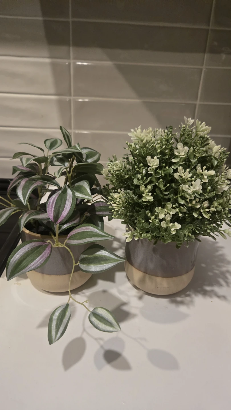 Two Artificial Potted Plants