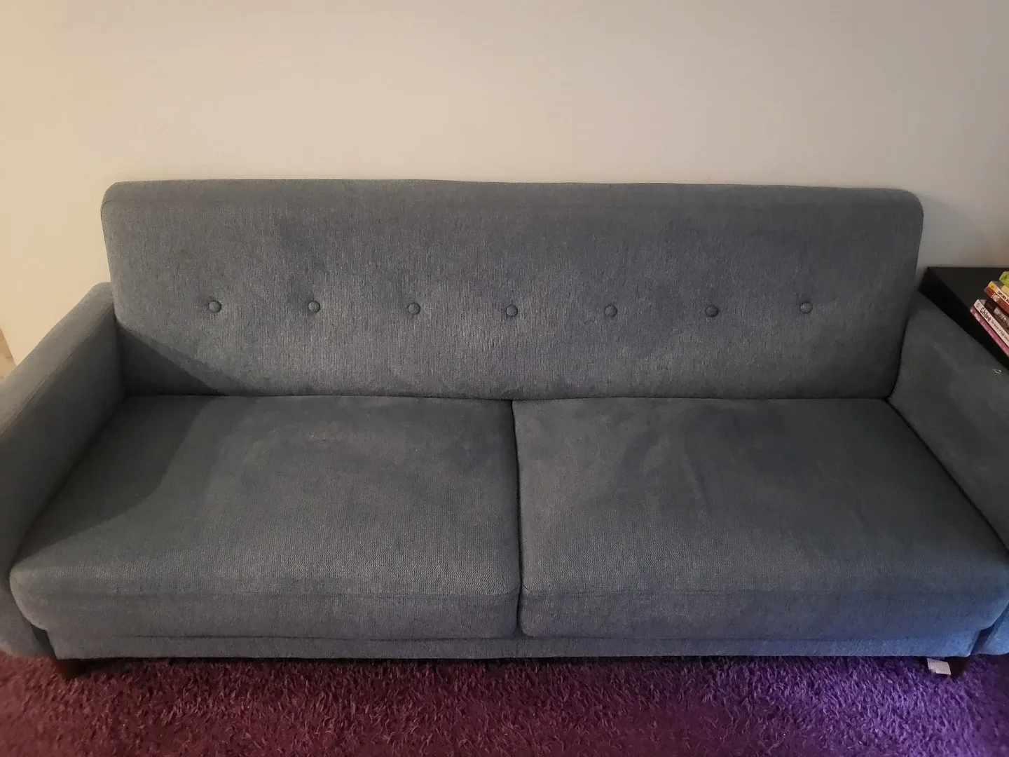 Wayfair Sofa