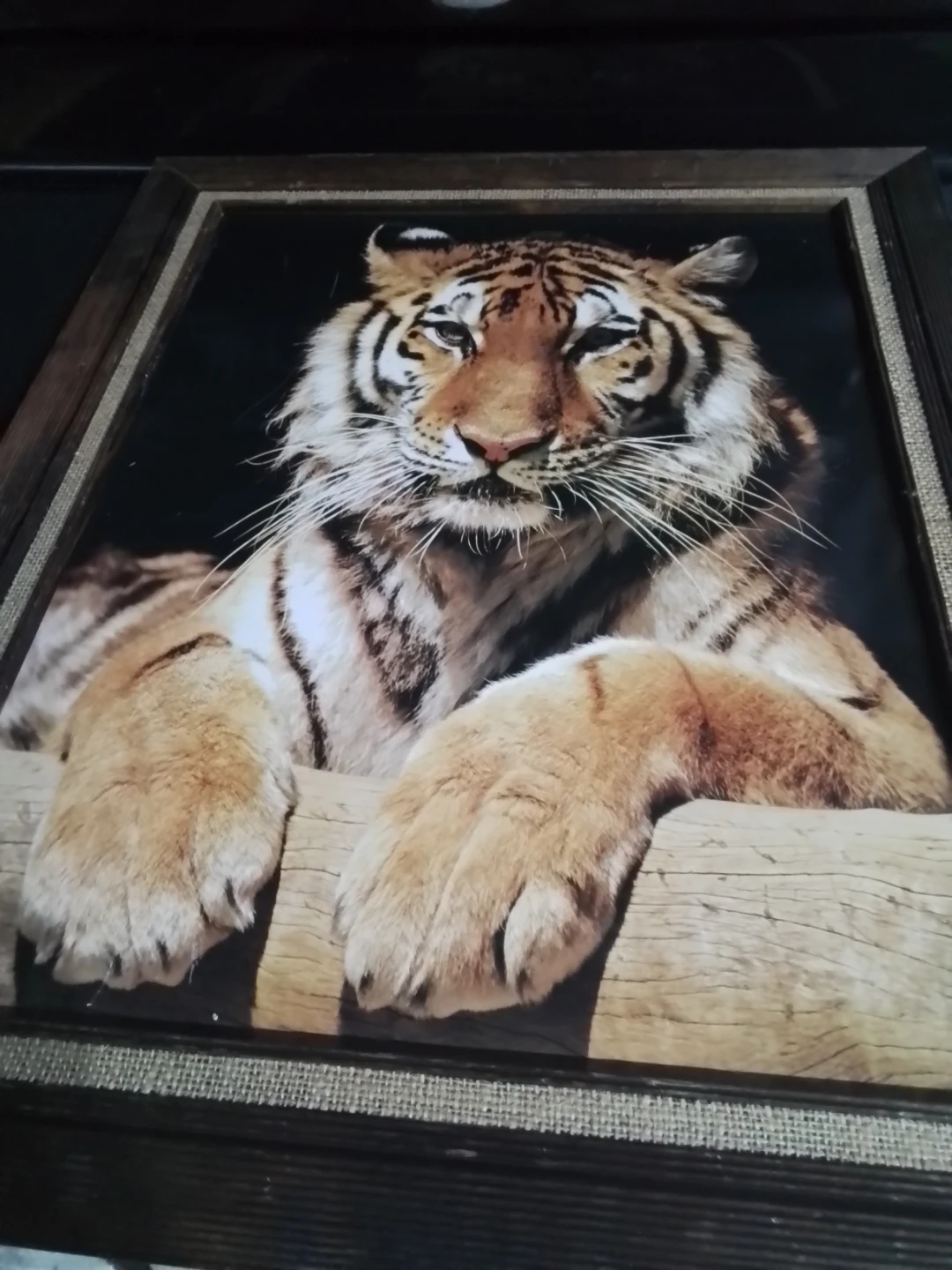 Tiger Picture 20.5 x 24.5" - photo 4