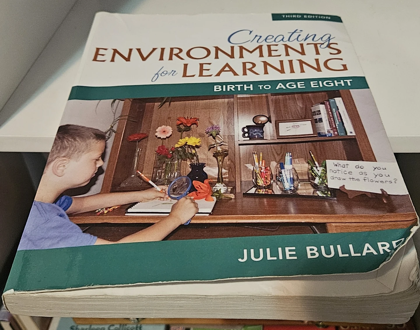 Creating Environments for Learning by Julie Bullard