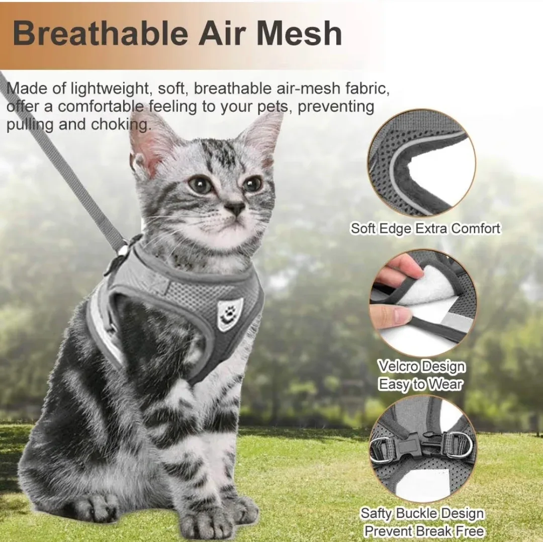 Offers Welcome: Grey Dog or Kitty Harness & Leash (S) #Cleanout image indicator(4)