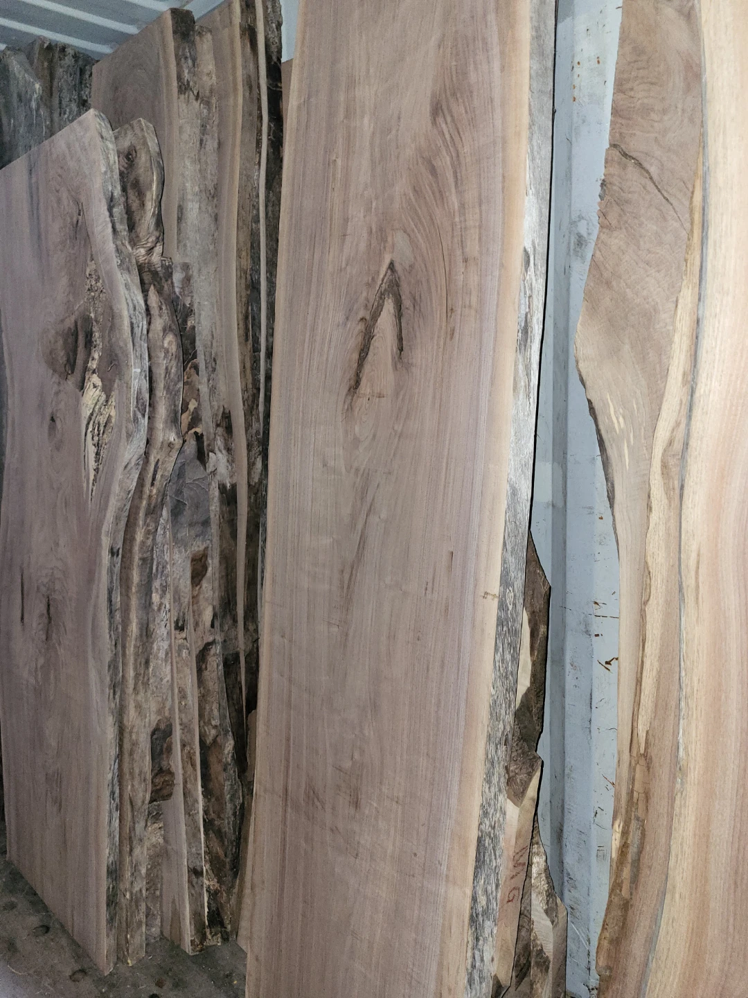 Various Live Edge Wooden Slabs