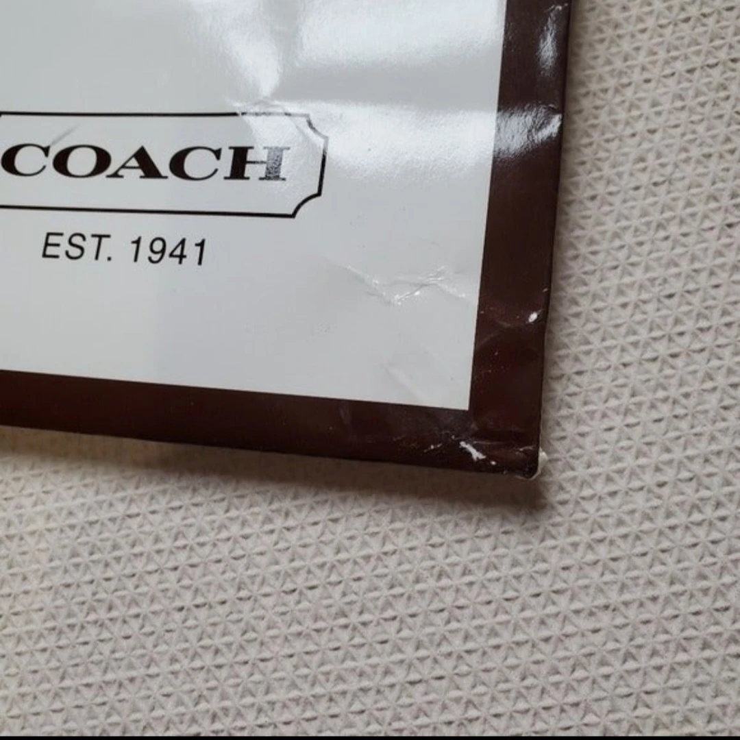 Coach Shopping Gift Bag - White - photo 5