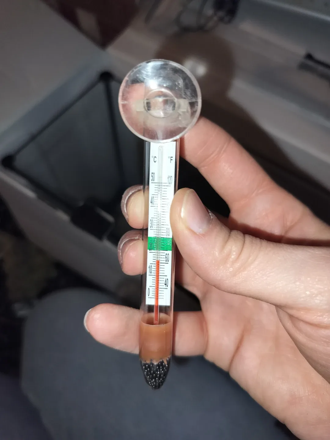 Fluval Spec 5 Gal Aquarium Kit + Accessories image indicator(3)