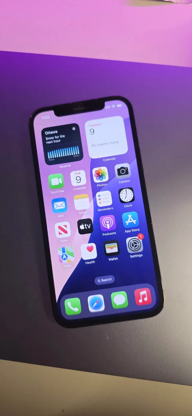 iPhone 12 Pro 256 gb