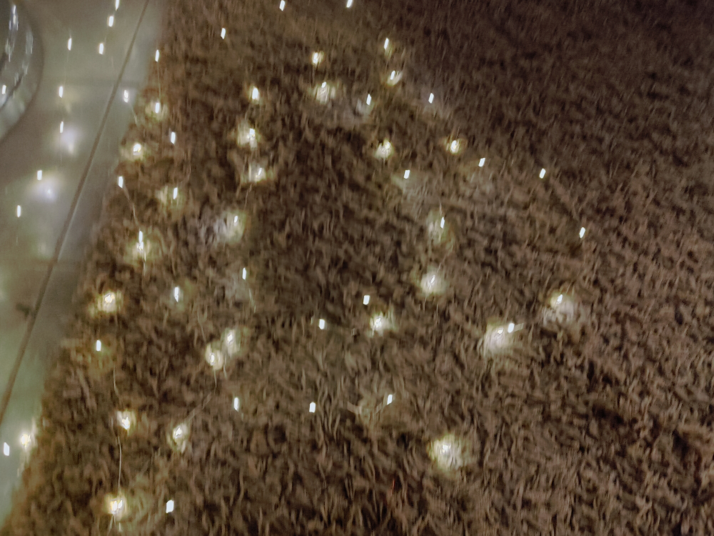 String Lights New - photo 2
