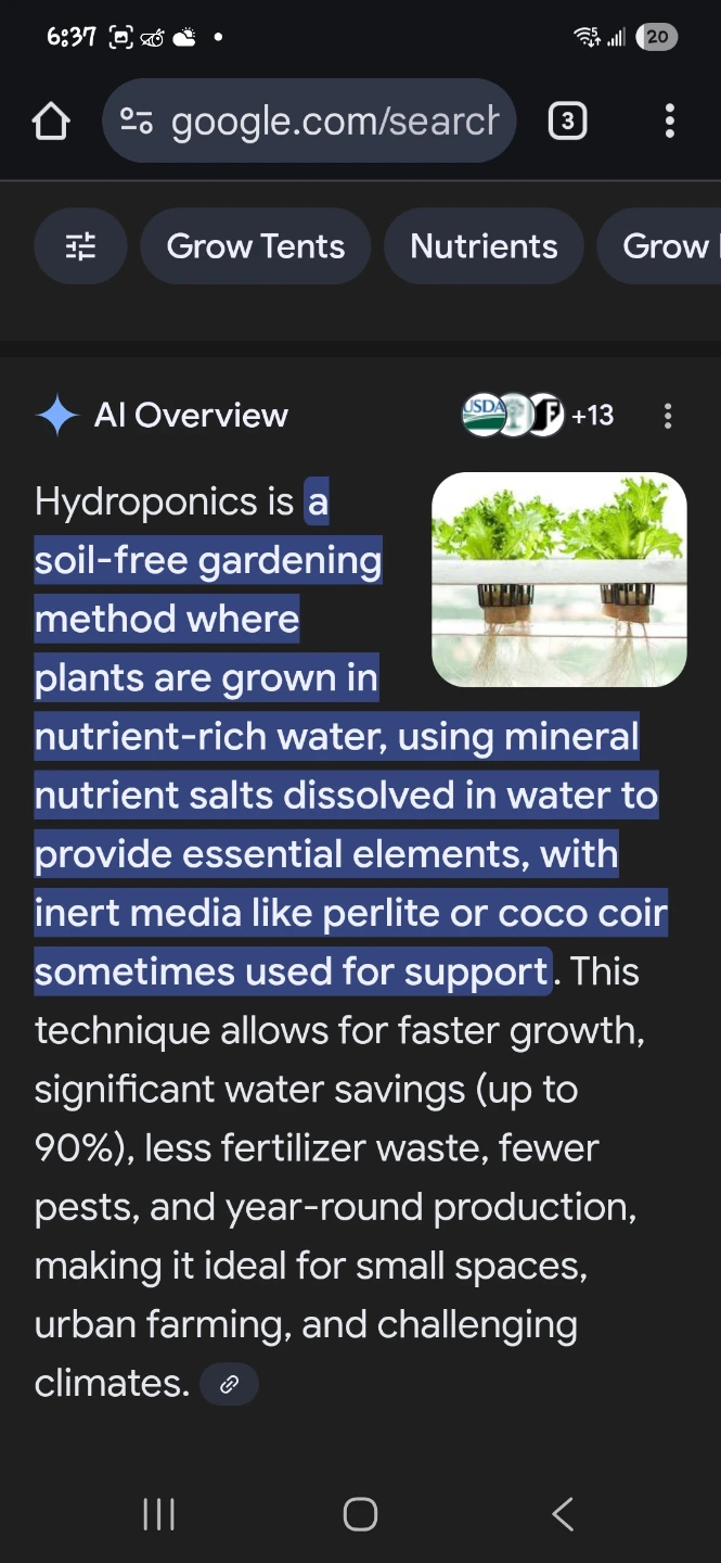 DILUTED PLANT FOOD FOR HYDROPONICS, DISTILLED WATER USED✨️💦 - photo 2