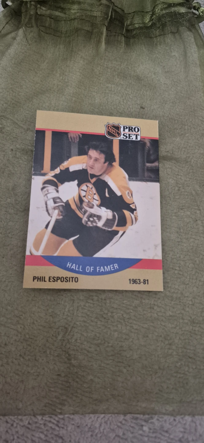 Phil Esposito Hockey Card - Pro Set NHL
