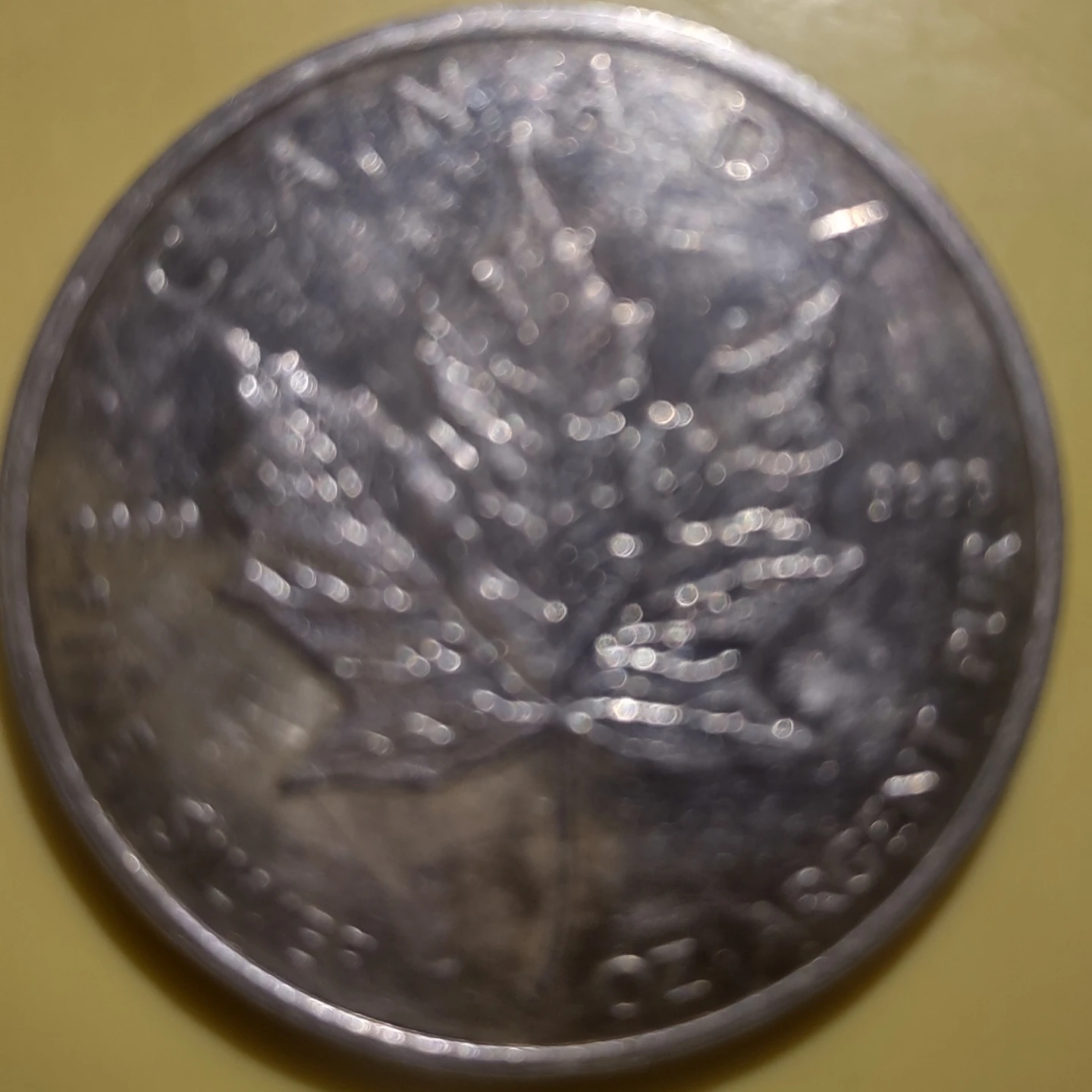Silver Maple Coin