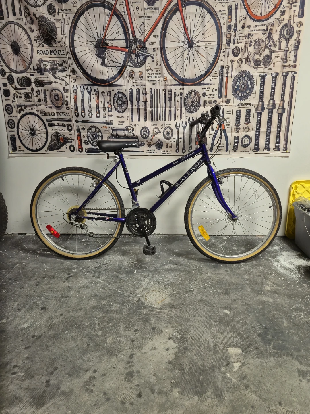 Raleigh Matterhorn Bicycle