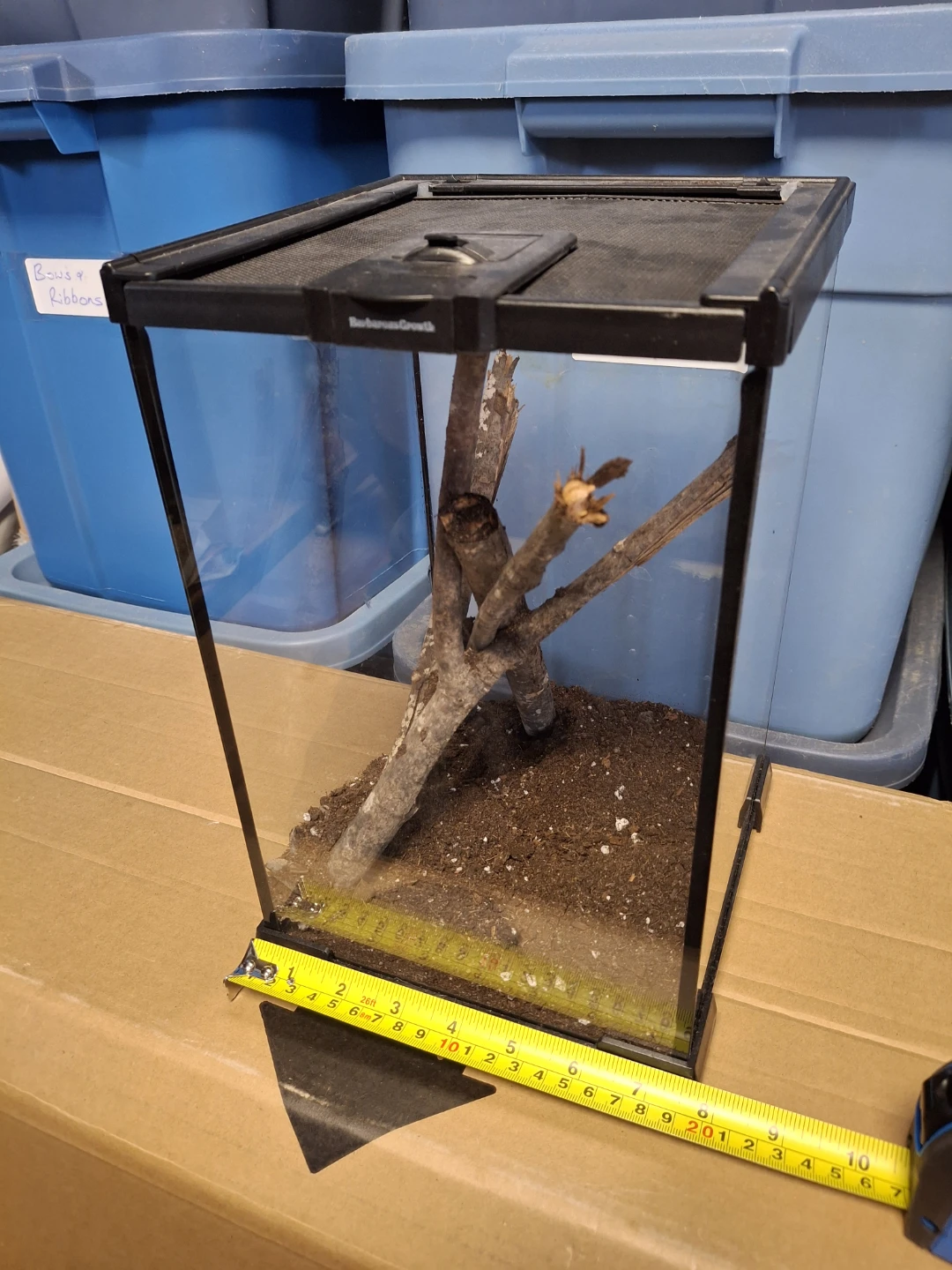 Glass Terrarium DUNDELA