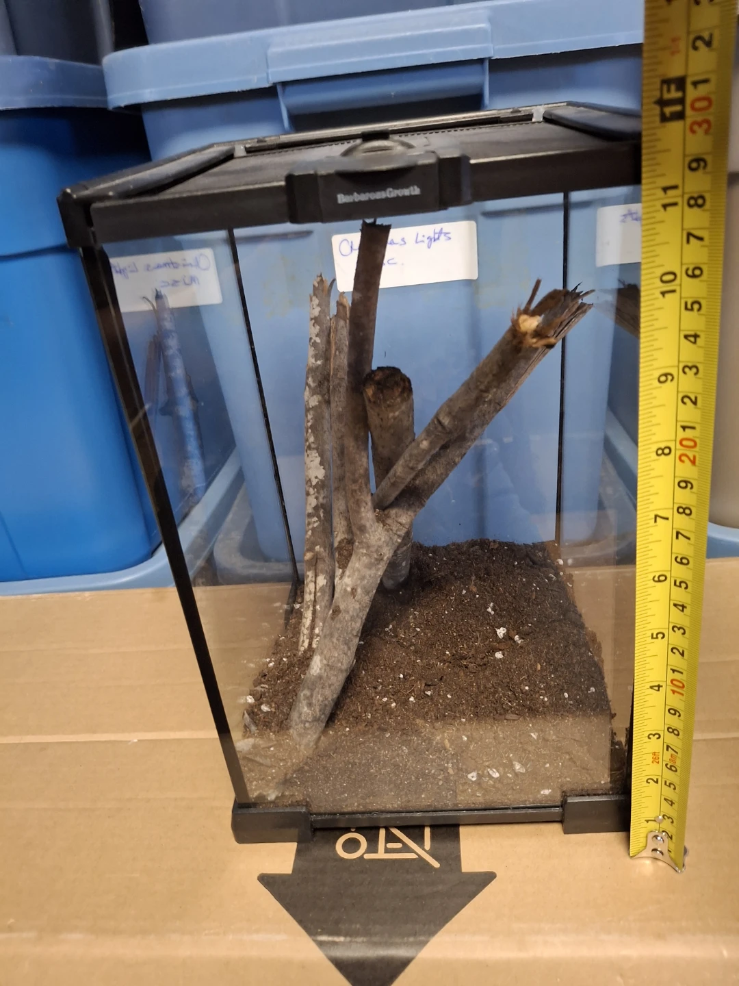 Glass Terrarium DUNDELA - photo 2