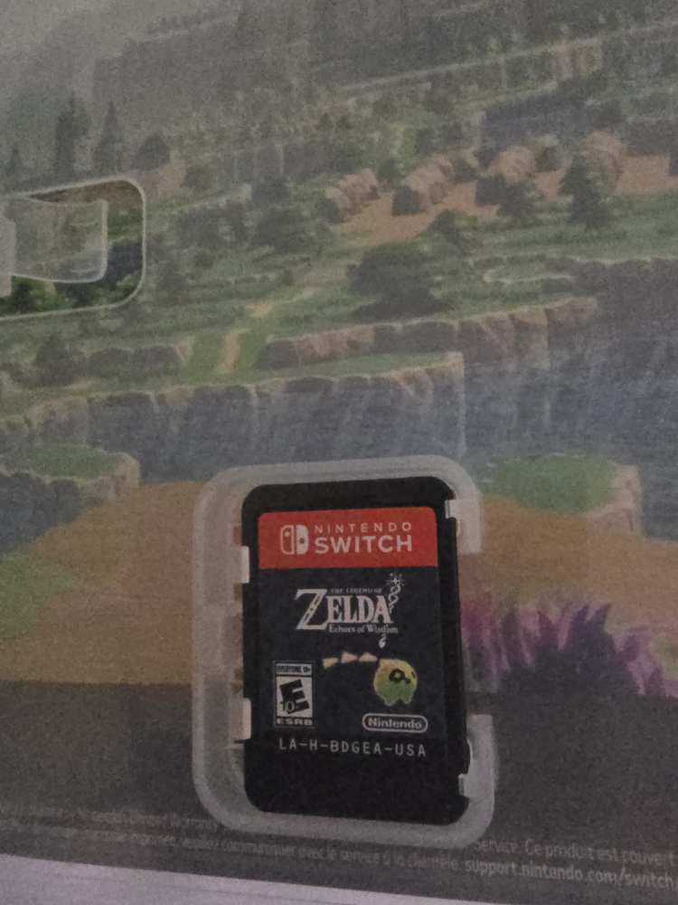 The Legend of Zelda: Echoes of Wisdom - Nintendo Switch - photo 2