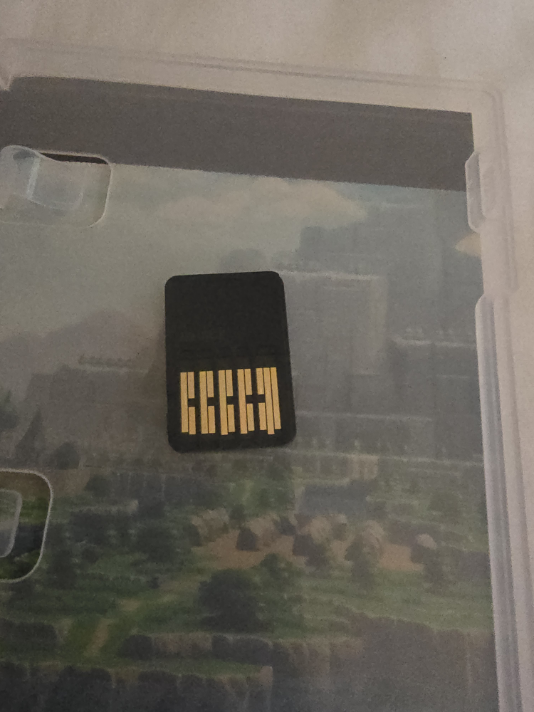 The Legend of Zelda: Echoes of Wisdom - Nintendo Switch - photo 3