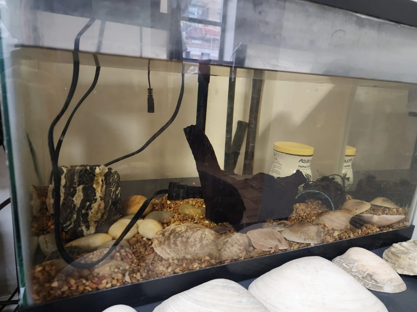 Used Fish Tank Aquarium - 40 L - photo 3