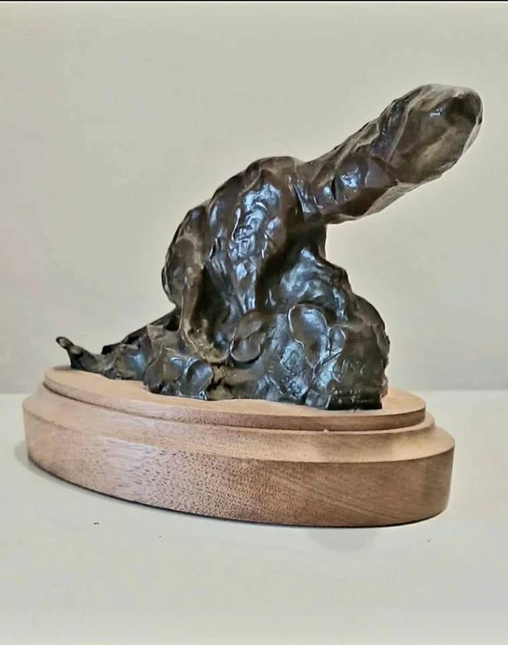 Unique Signed Bunn Bronze Coyote Statue - photo 4