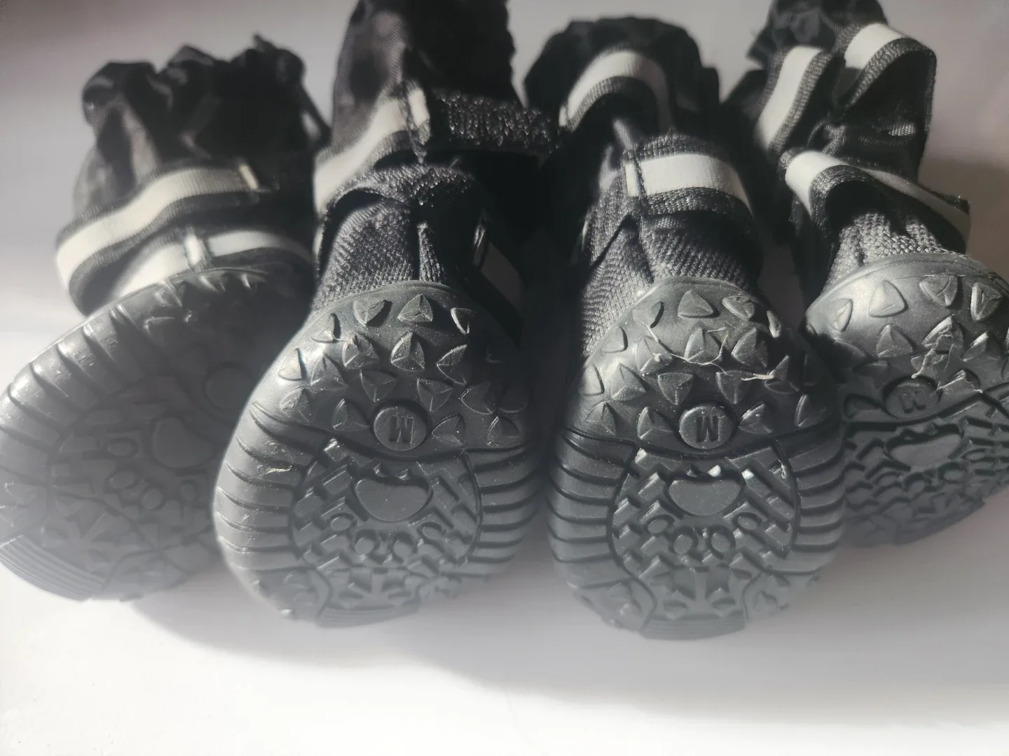 Dog Boots - Black, Size M #cleanout image indicator(5)