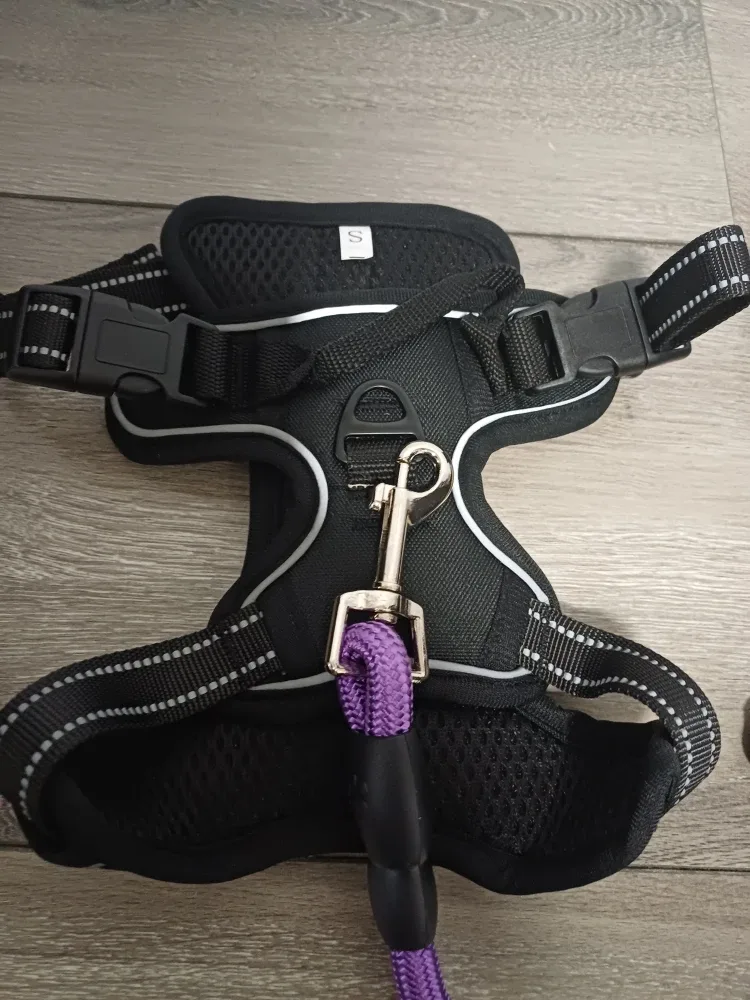 2x Top Paw Dog Harnesses & Leashes - Small image indicator(4)