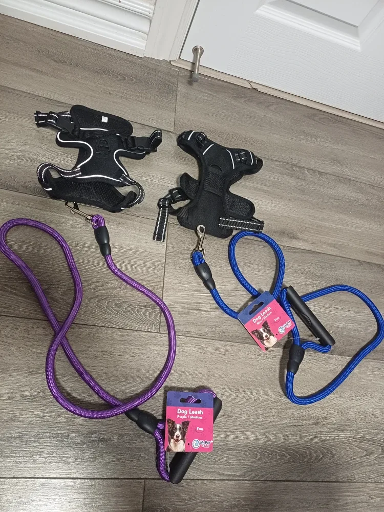 2x Top Paw Dog Harnesses & Leashes - Small image indicator(6)