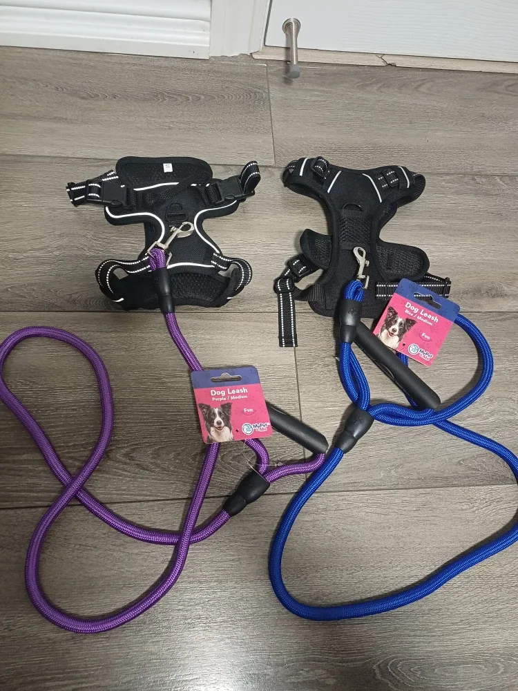 2x Top Paw Dog Harnesses & Leashes - Small image indicator(9)