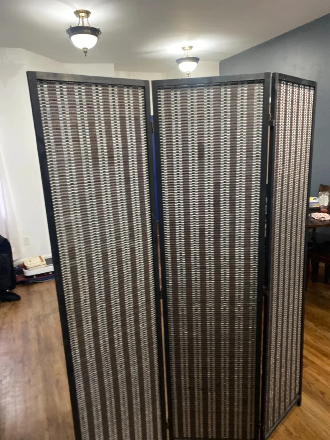 6'x5' Folding Room Divider. Free Local Delivery available.