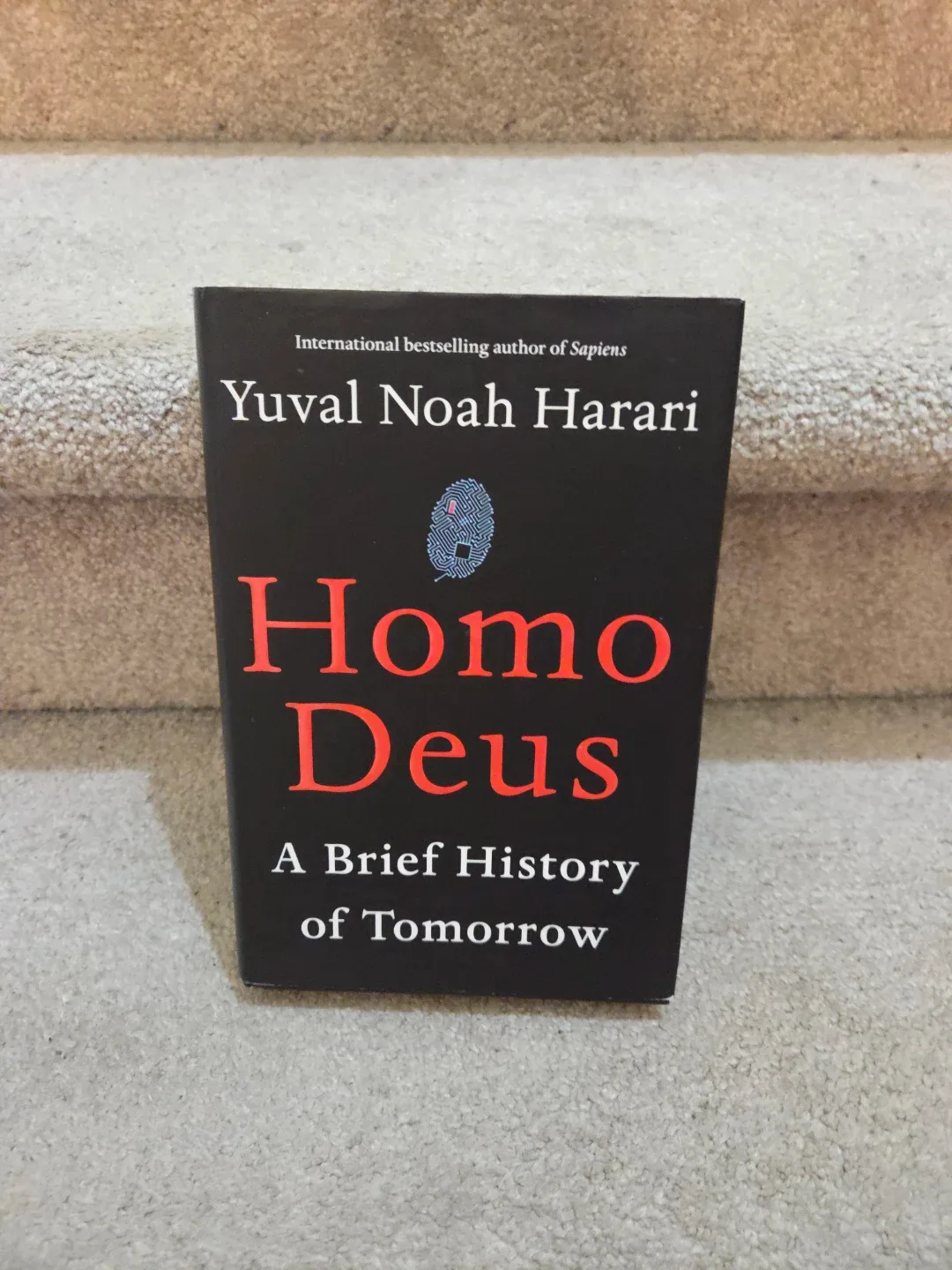 Homo Deus by Yuval Noah Harari image indicator(2)