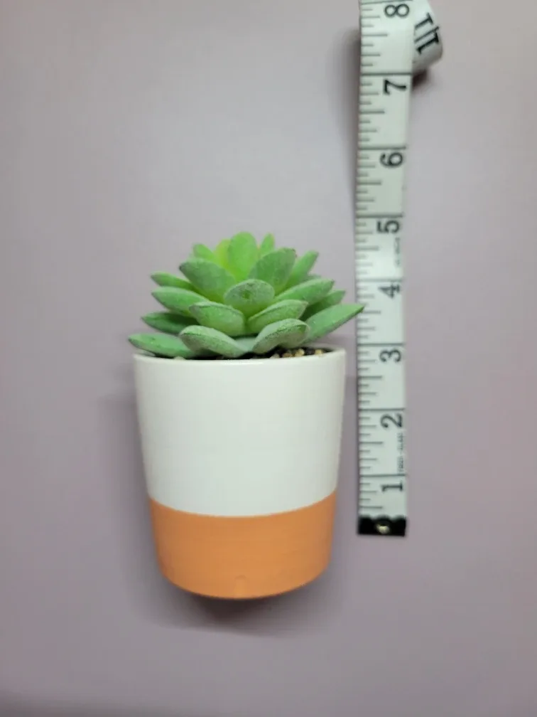 Dog Figurine and Faux Succulent image indicator(3)