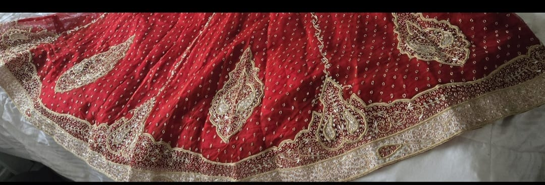 Red & Gold Lehenga Choli Set - photo 4