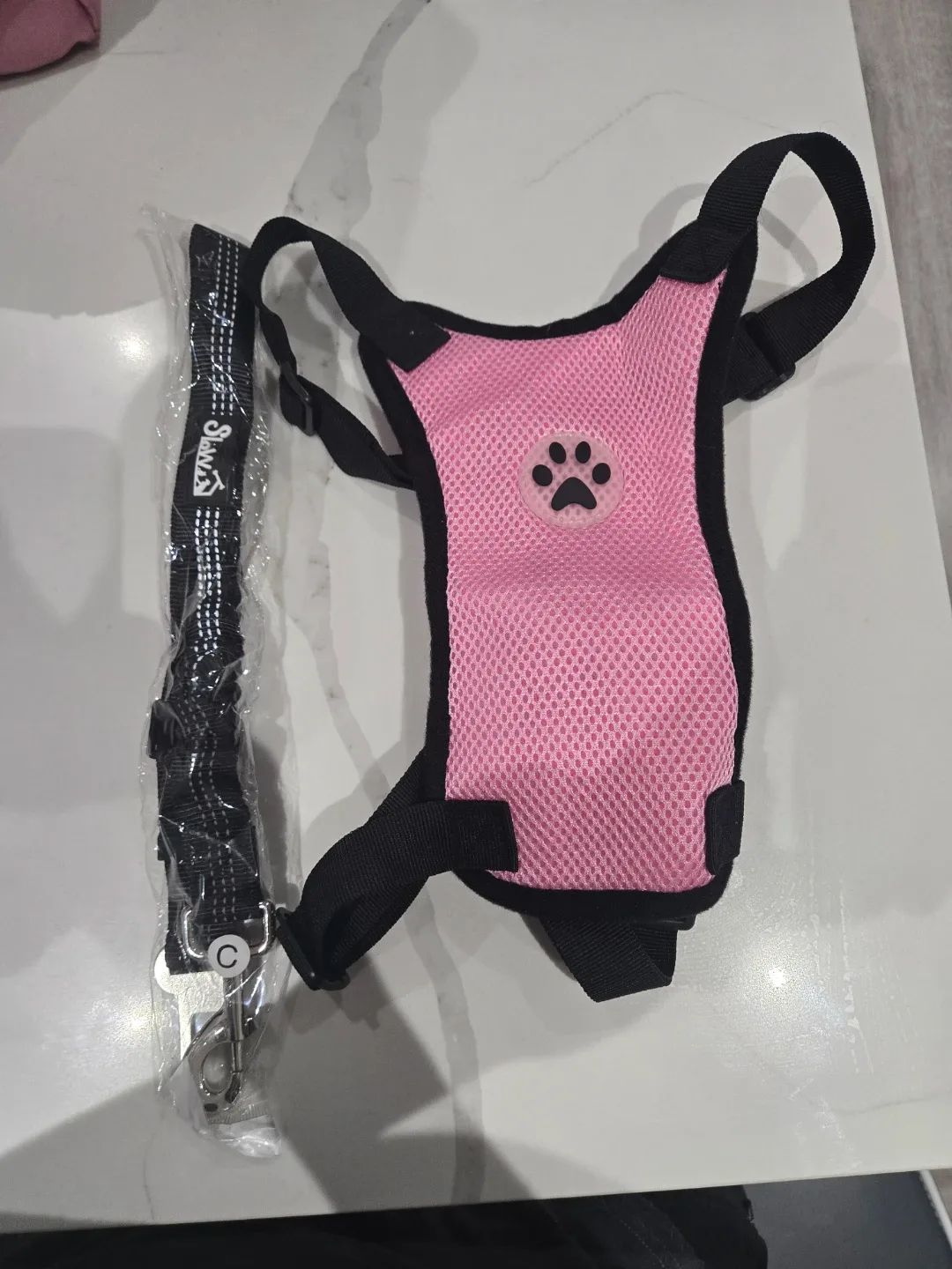 Dog collar with car seat belt