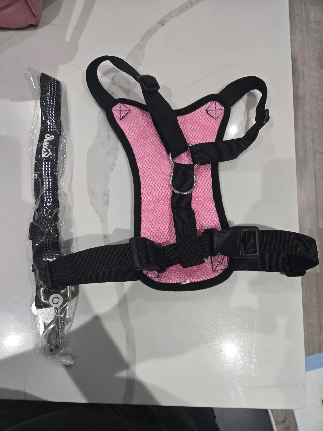 Dog collar with car seat belt image indicator(2)