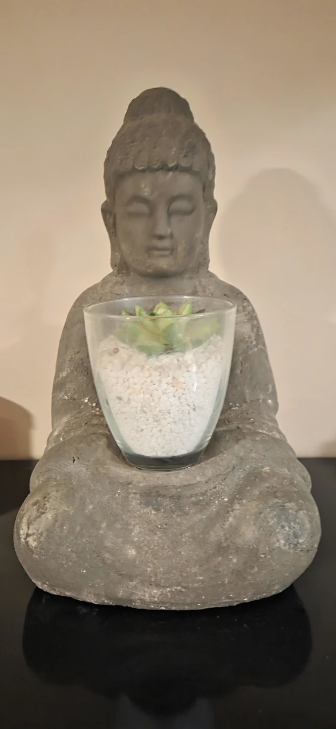 Buddha Statue with Succulent