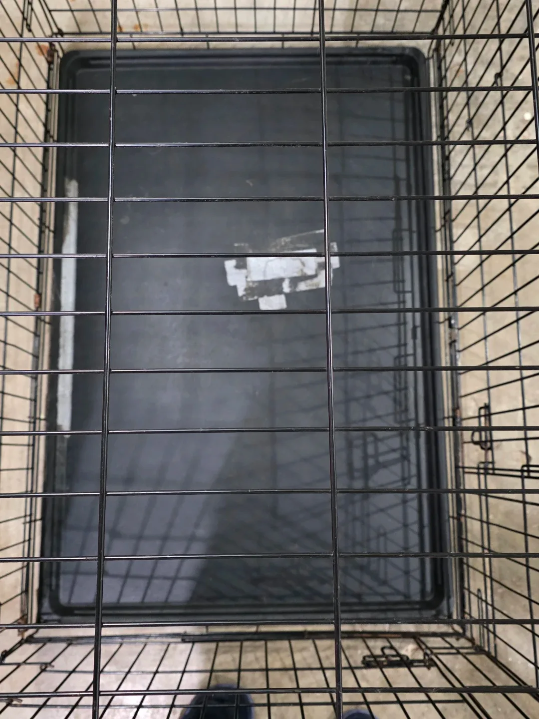 XL Black Dog Crate image indicator(3)