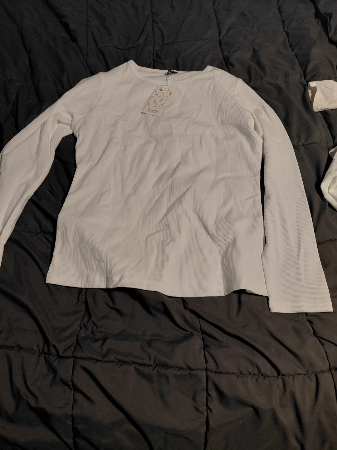 Antomiei White Long Sleeve Top