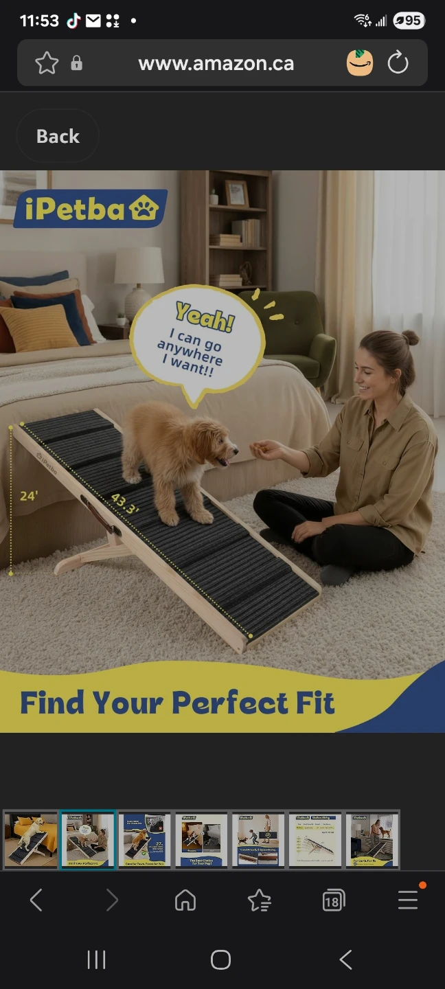 Wood Wood pet Ramp brand new - photo 2