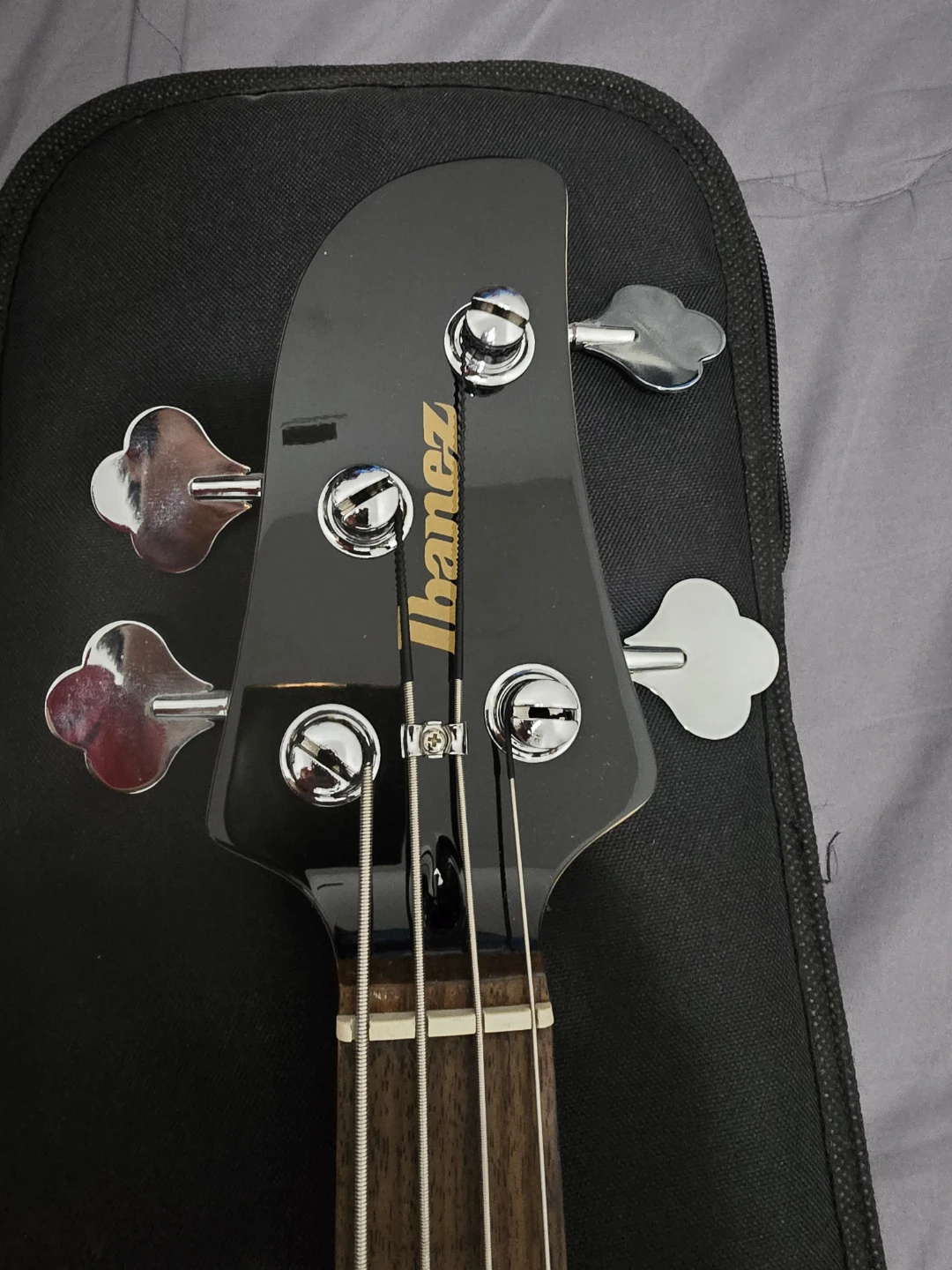 Ibanez Bass Guitar