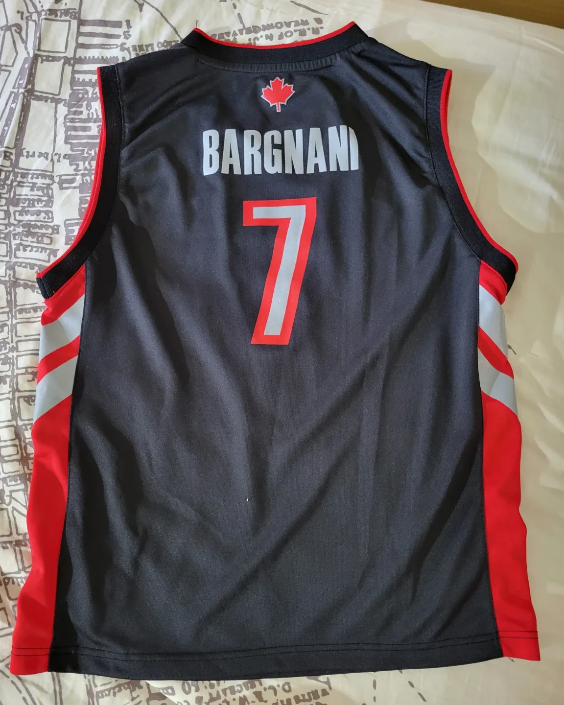 Toronto Raptors #7 Jersey - Kids size Large image indicator(2)