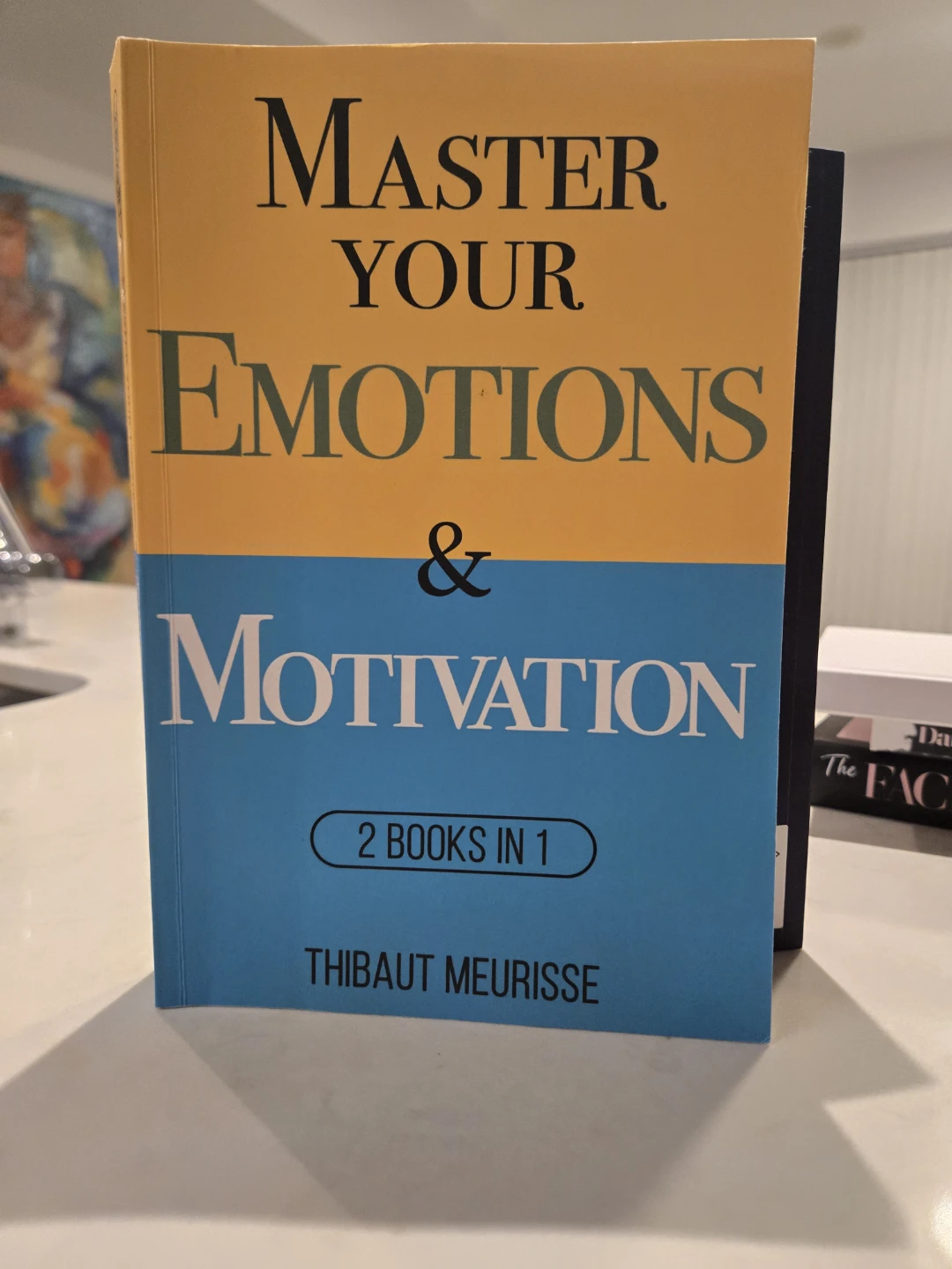 Master Your Emotions & Motivation by Thibaut Meurisse
