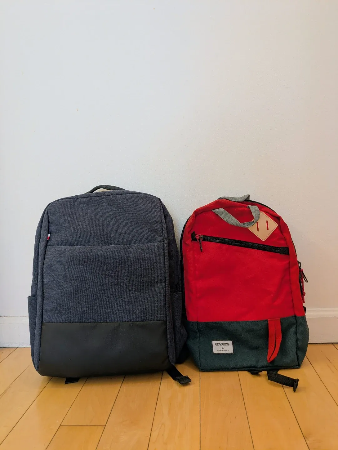 Two Backpacks - Blue/Black & Red/Green