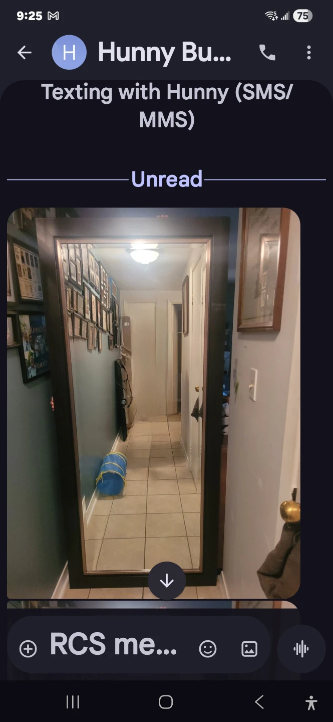 Large Framed Mirror