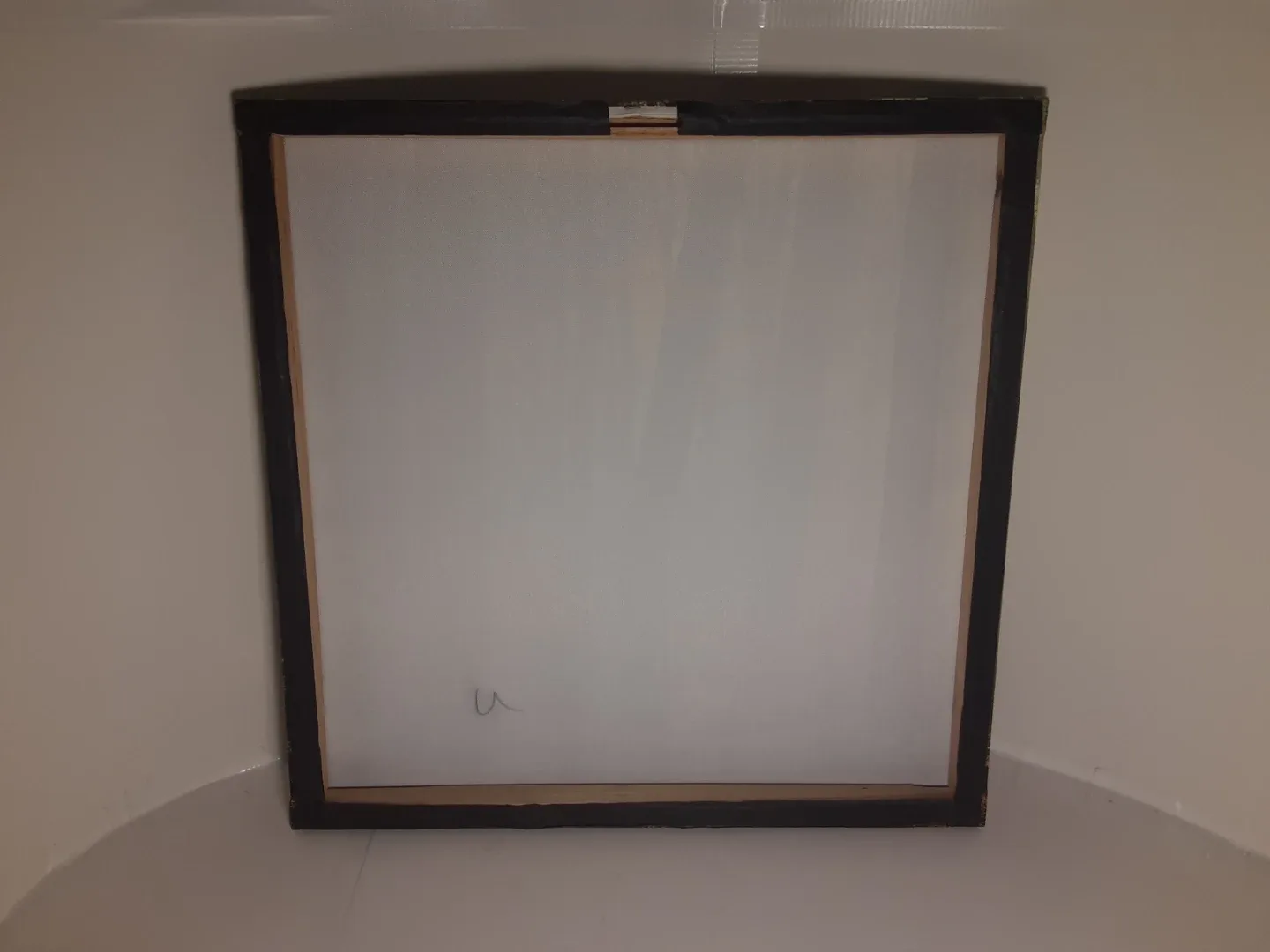 Forest Photograph | Canvas Art Print 20"x20" image indicator(2)