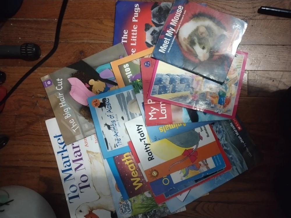 Childrens book - photo 2