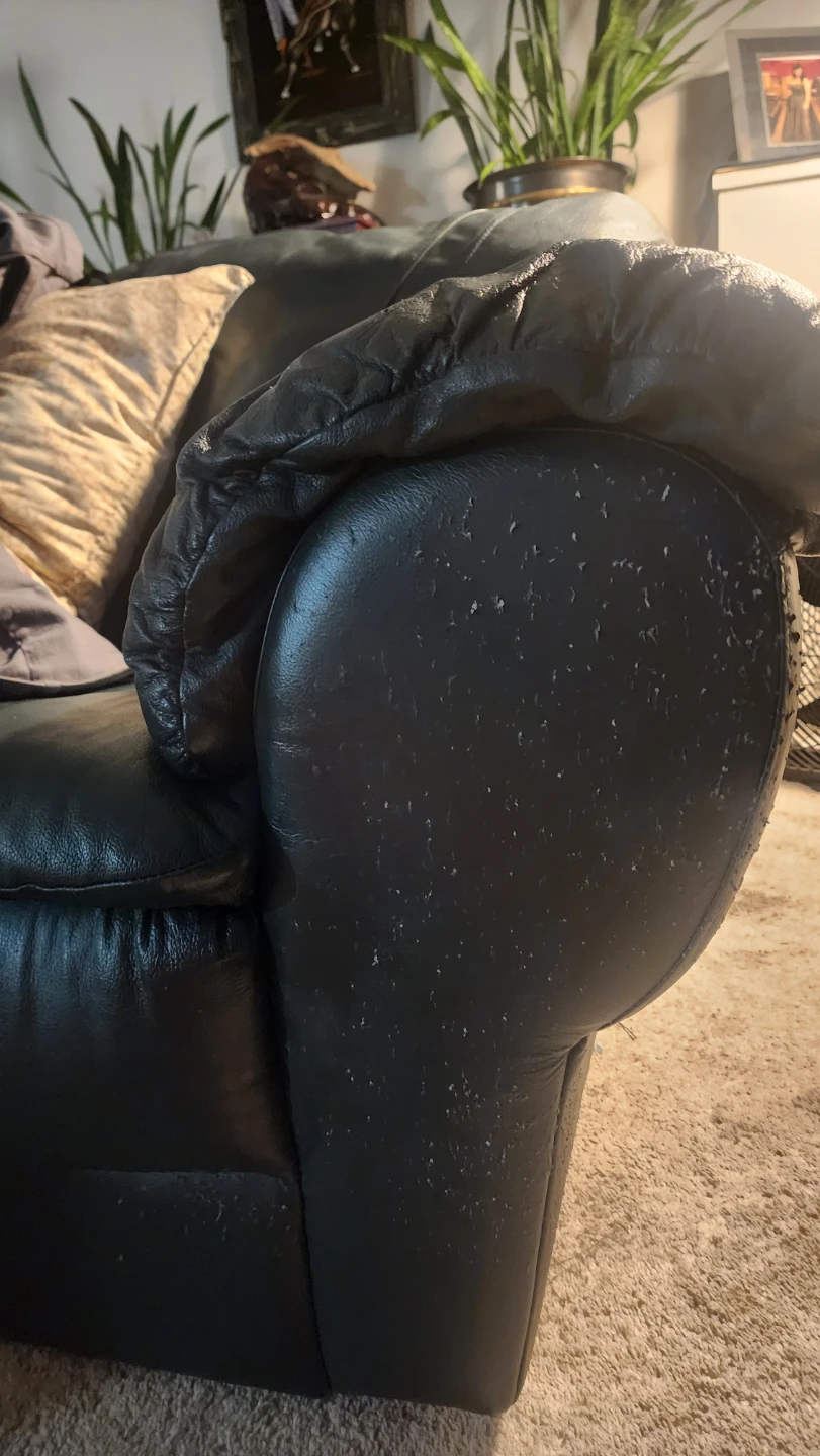 Leather Sofa - Green and Loveseat - photo 3