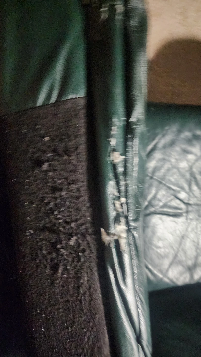 Leather Sofa - Green and Loveseat - photo 4