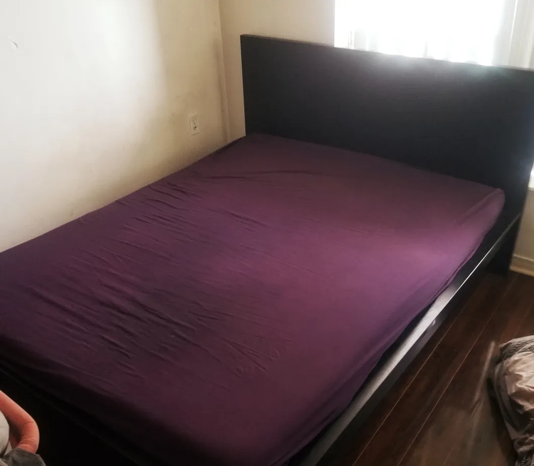 Two queen size mattresses for free