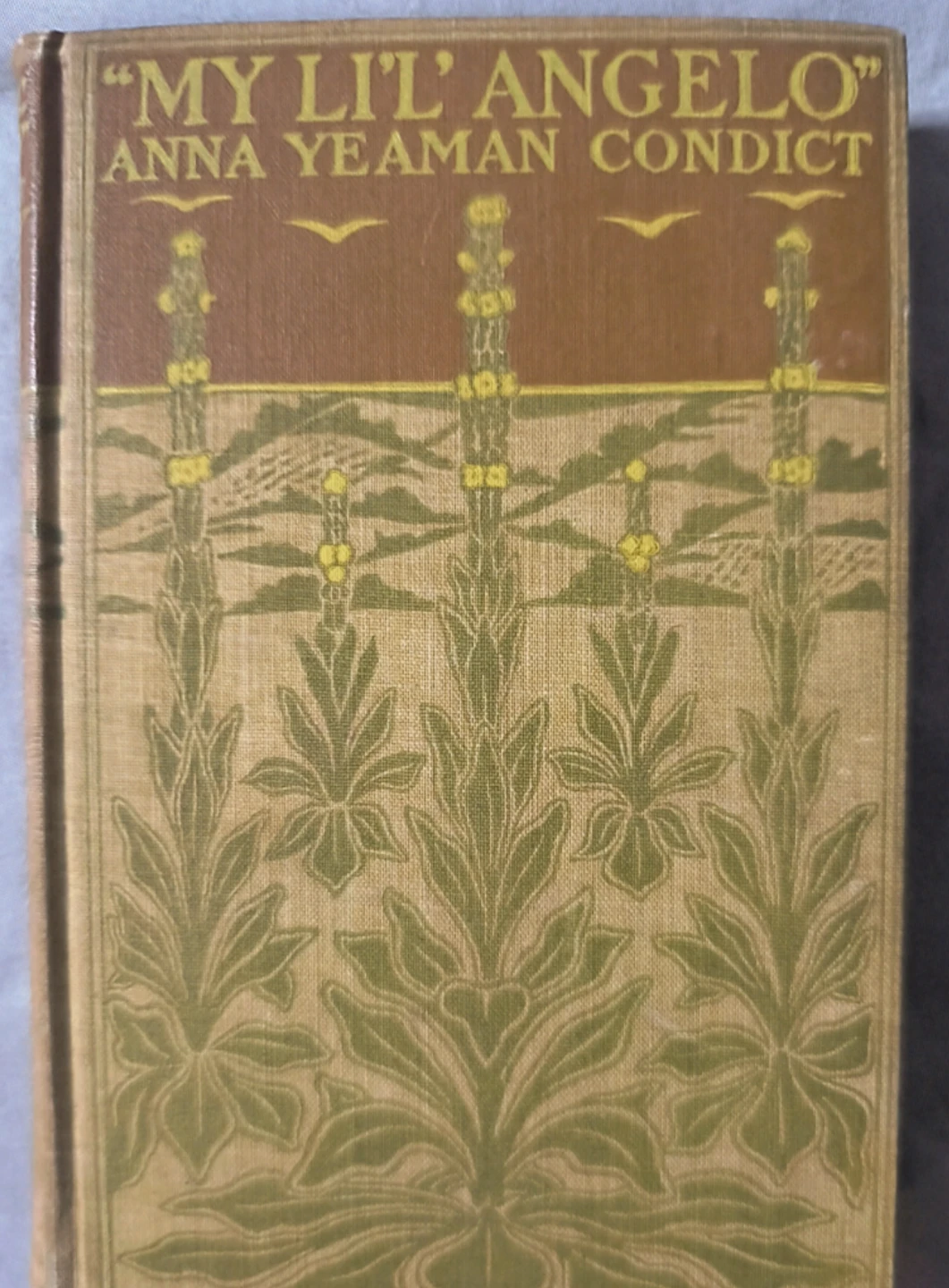 "My Li'l Angelo" rare 1st edition, hardback, 1904
