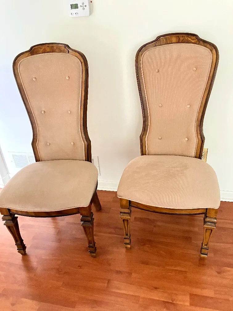 Set of 2 Vintage Dining Chairs