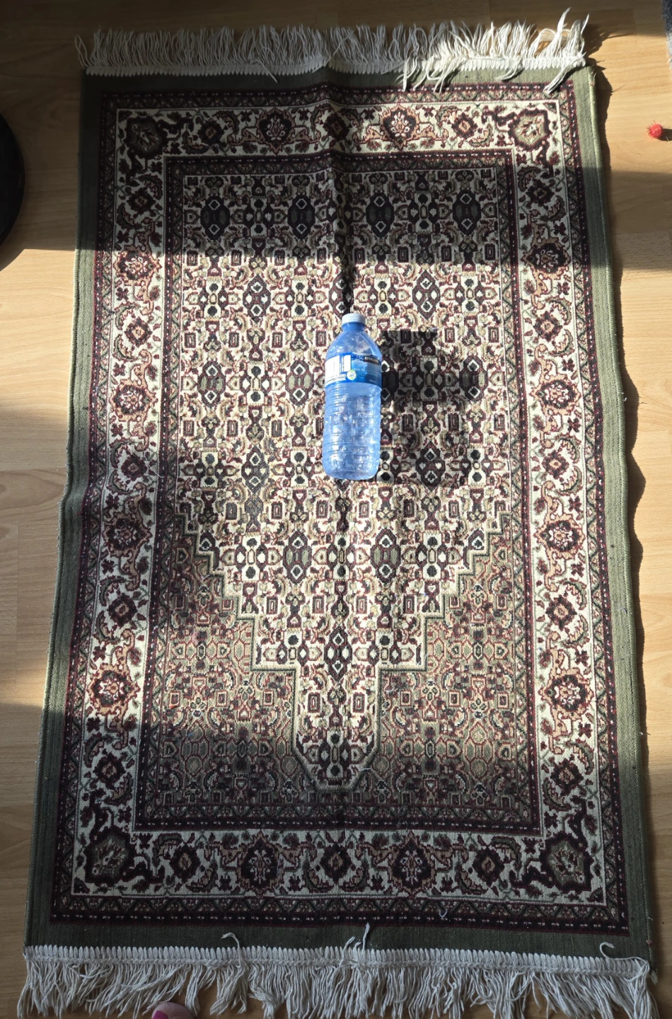 Patterned Area Rug with Fringe