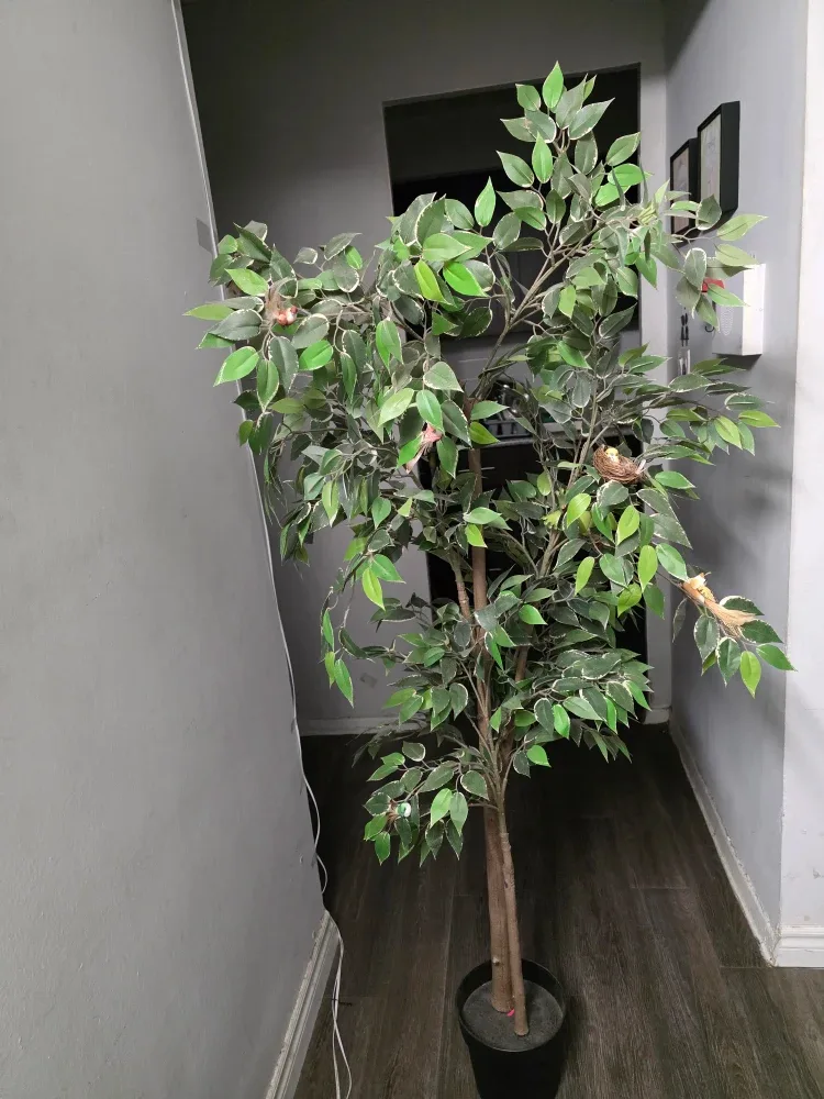 Artificial Ficus Tree with Birds image indicator(3)